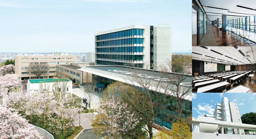 专修大学