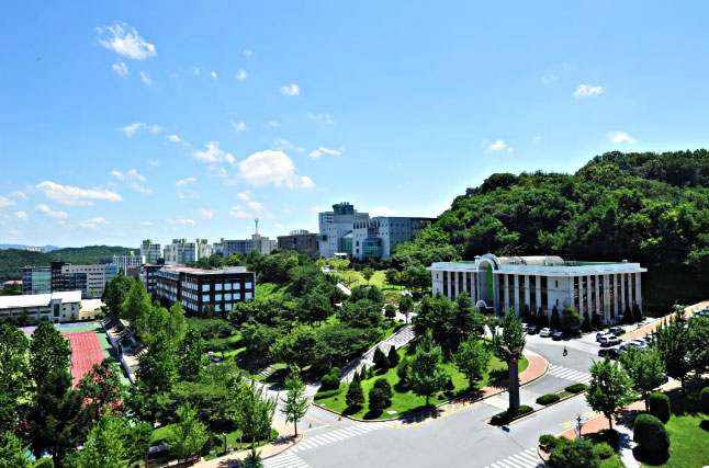 顺天乡大学