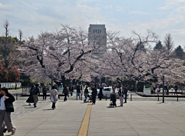 东京理科大学