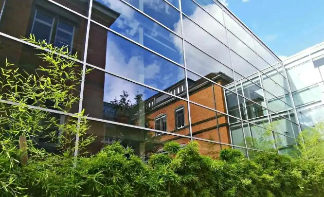 弗莱堡大学