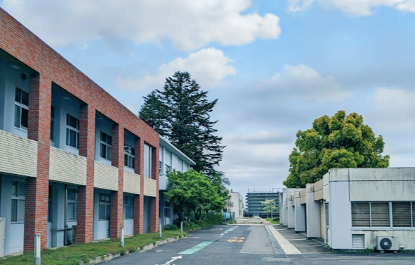 茨城大学