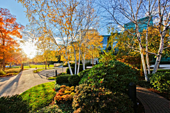 布兰迪斯大学|布兰戴斯大学