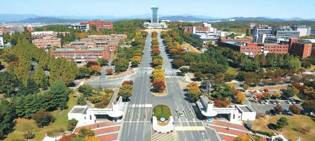 大邱大学