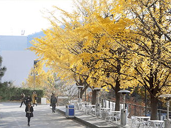 明知大学