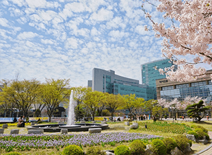崇实大学