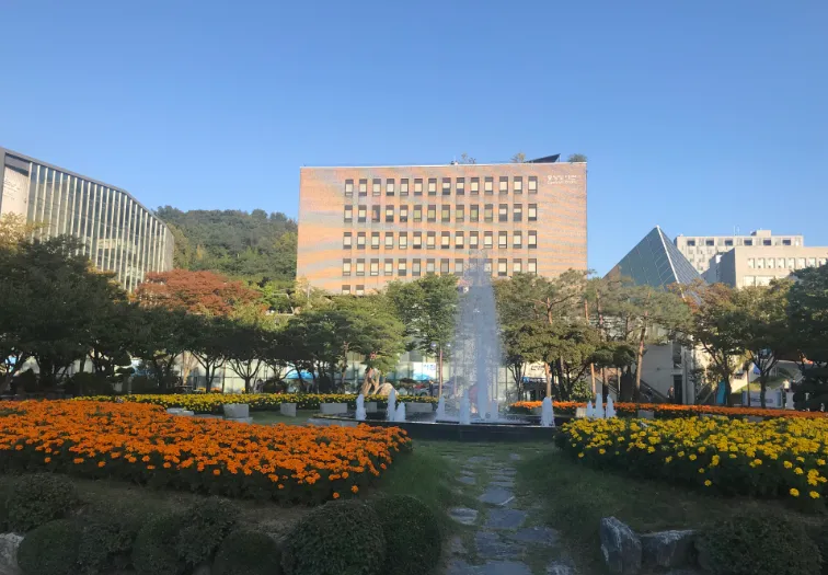 崇实大学