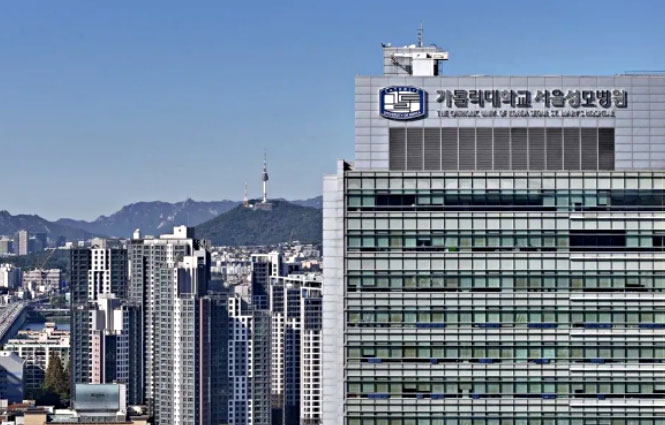 韩国加图立大学