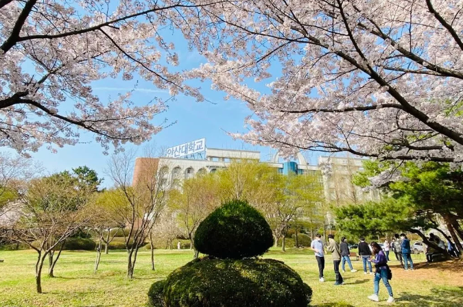 安山大学