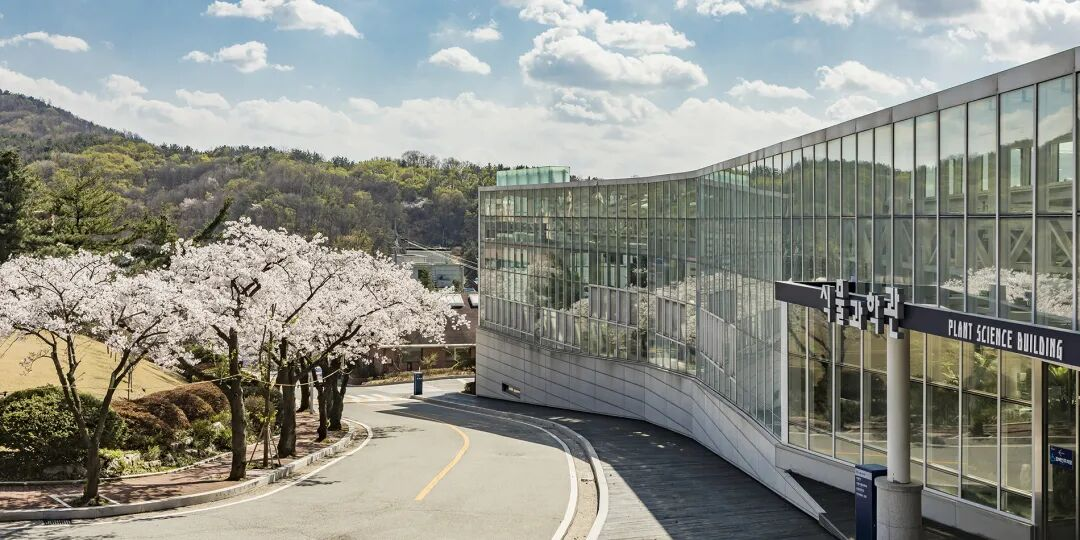 祥明大学