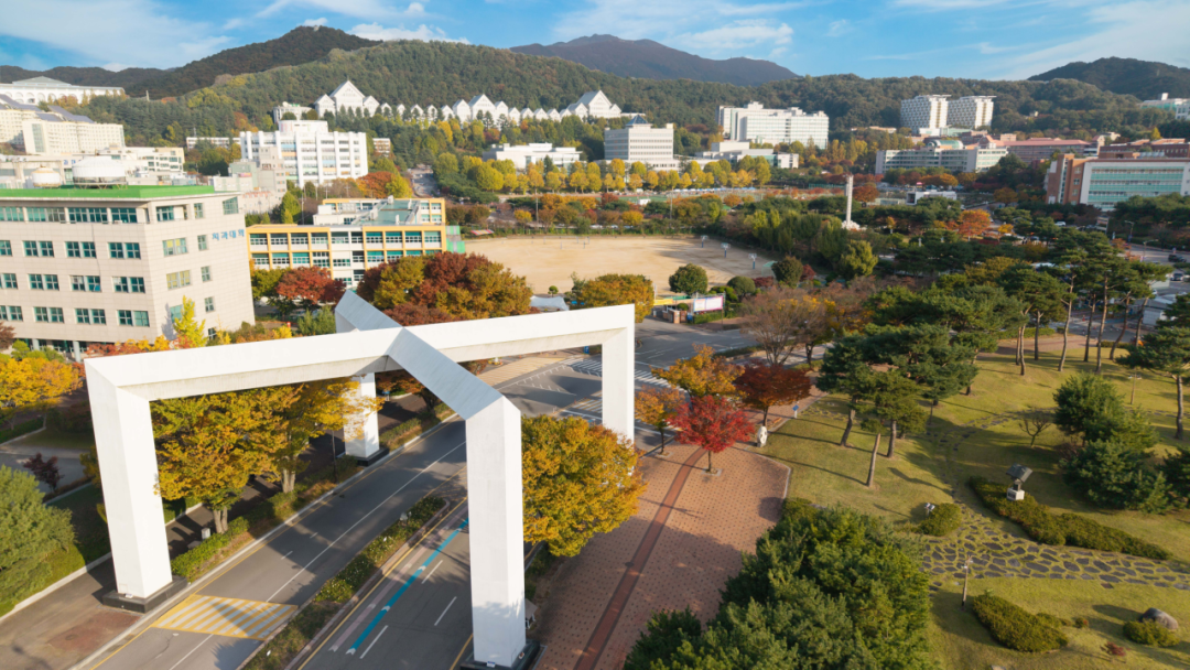 朝鲜大学