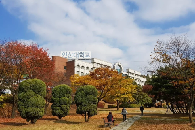 安山大学