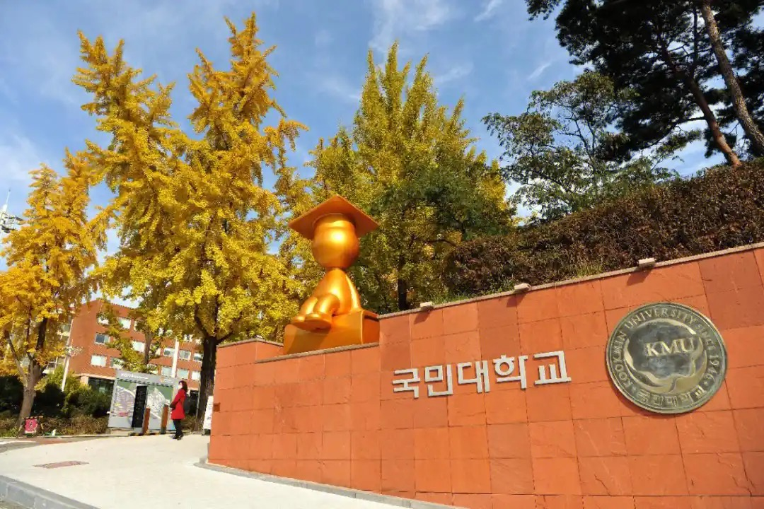 国民大学