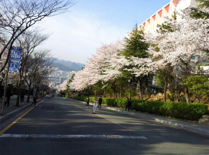 东义大学