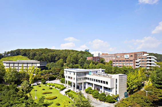 韩国江南大学