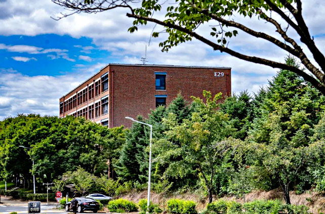 韩国岭南大学
