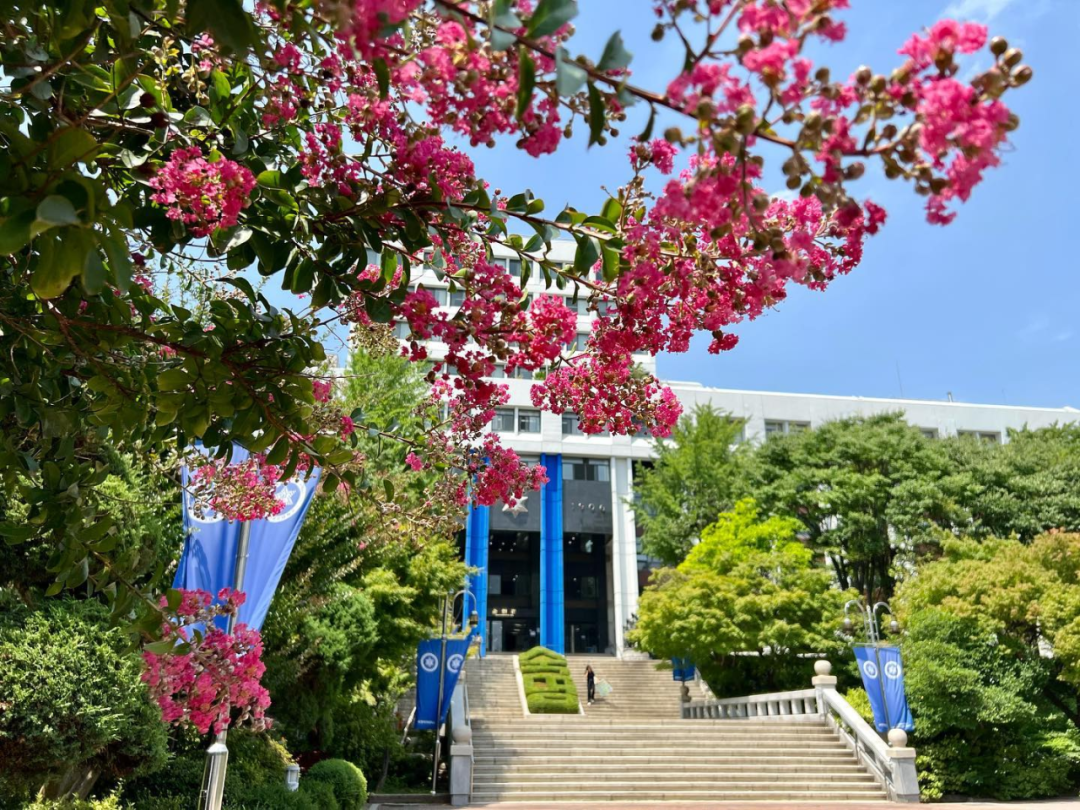 淑明女子大学