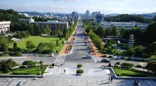 忠南大学