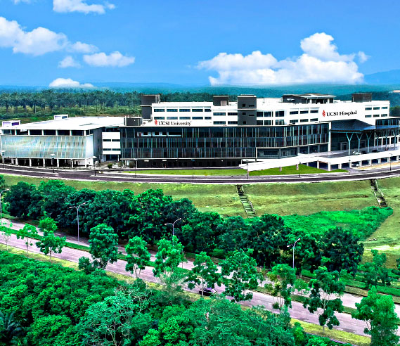 思特雅大学