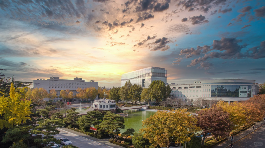 圆光大学
