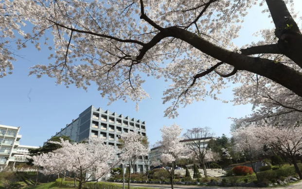明知大学