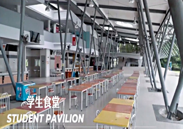 拉曼大学