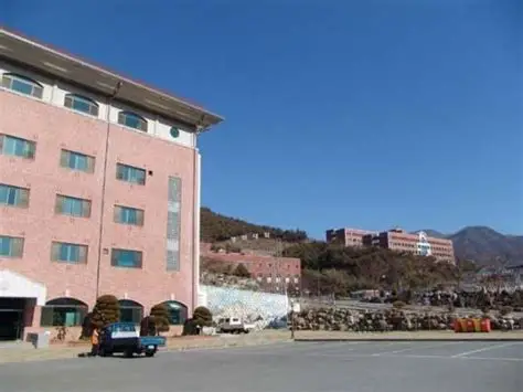 大林大学