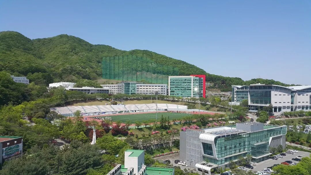 龙仁大学