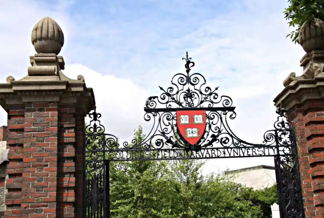 哈佛大学