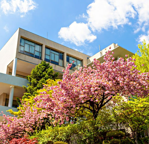 韩国西江大学