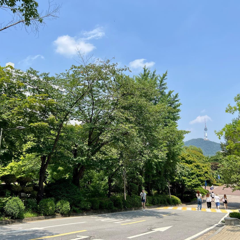 淑明女子大学