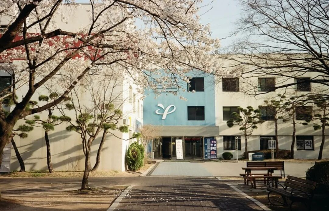 龙仁大学