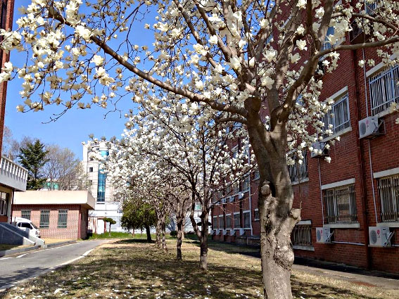 全南大学