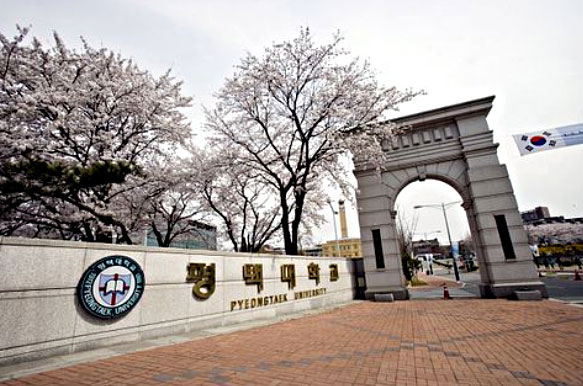 平泽大学