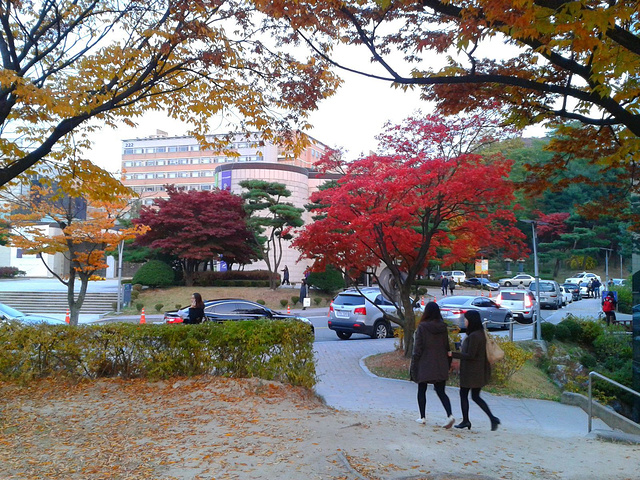 首尔艺术大学