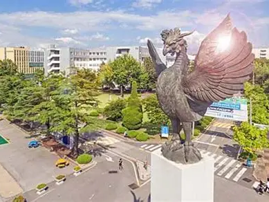 圆光大学
