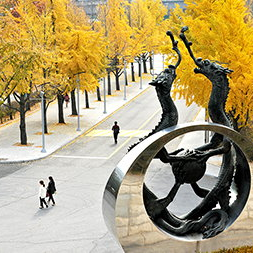 国民大学