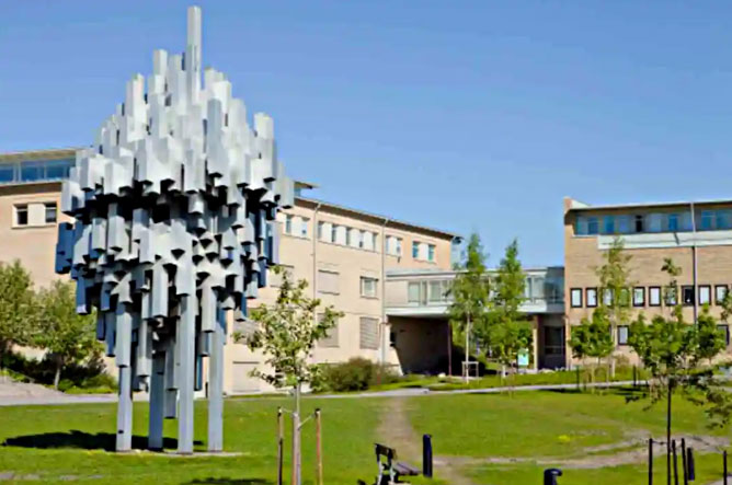 于默奥大学