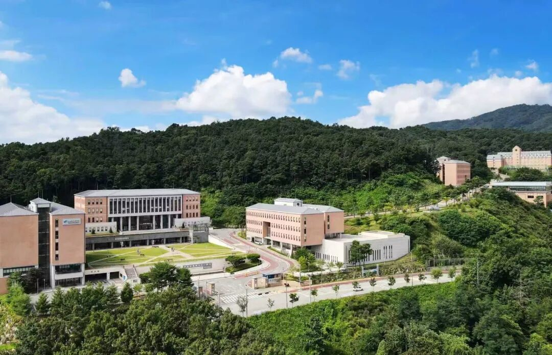 又石大学