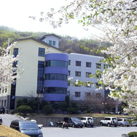 龙仁大学