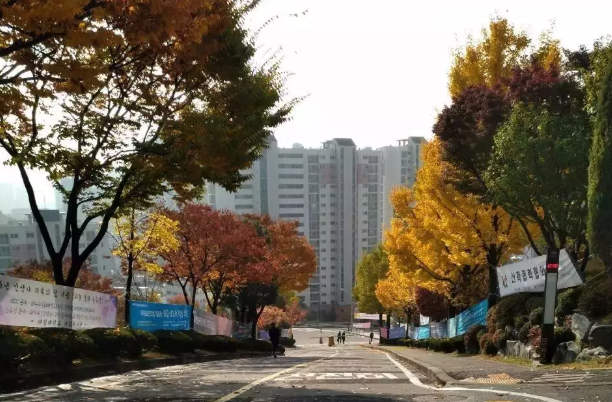 大林大学