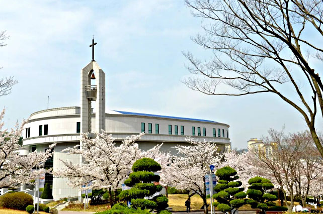 白石大学