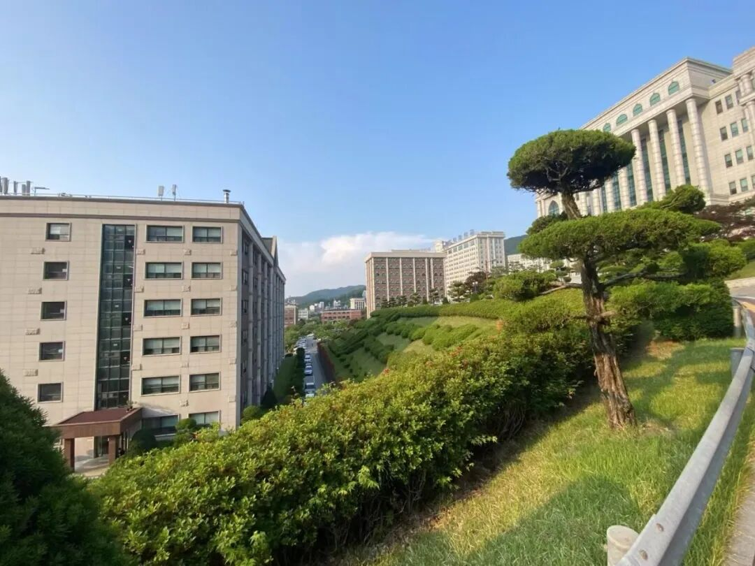 白石大学