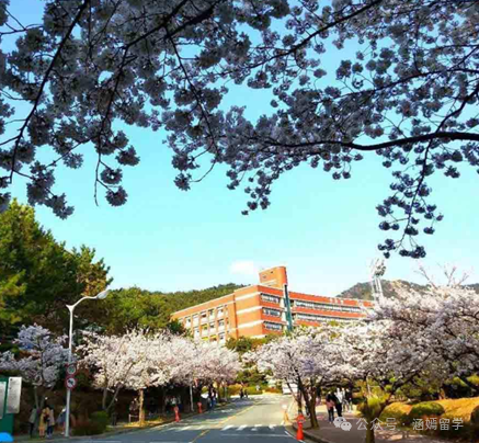 新罗大学