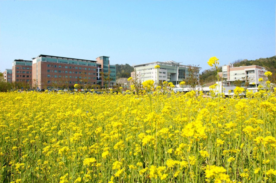 金乌国立工科大学