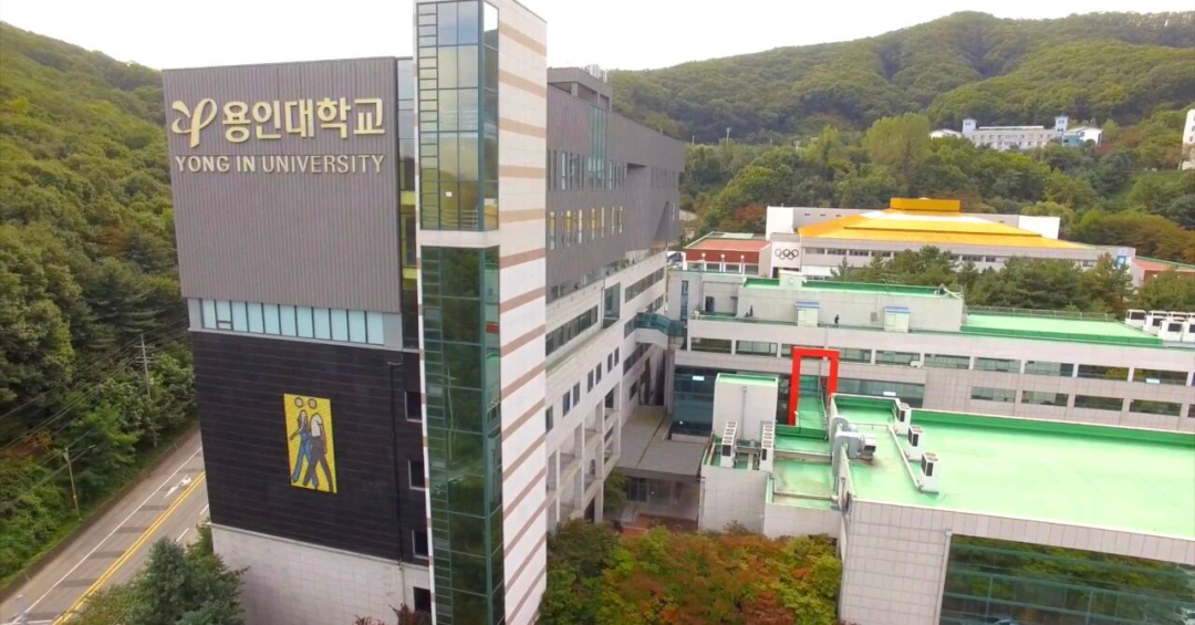 龙仁大学
