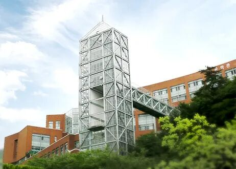 新罗大学