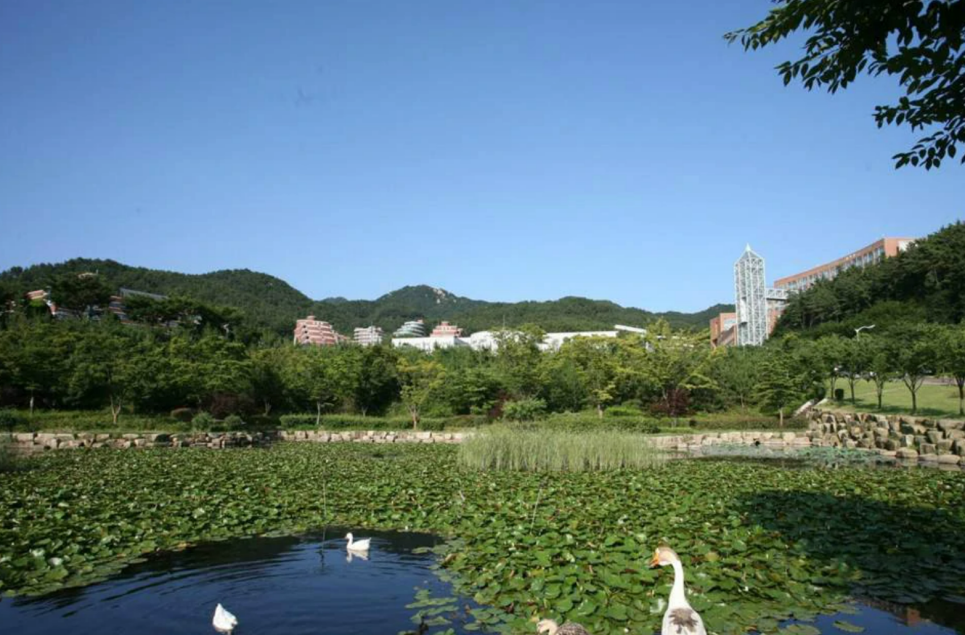 新罗大学