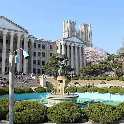 龙仁大学