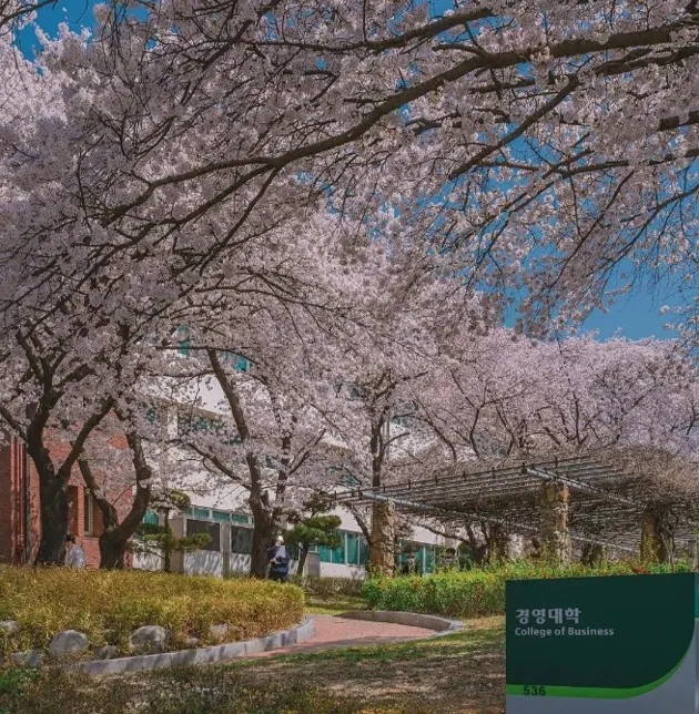 大邱大学