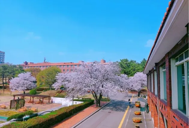 大邱大学